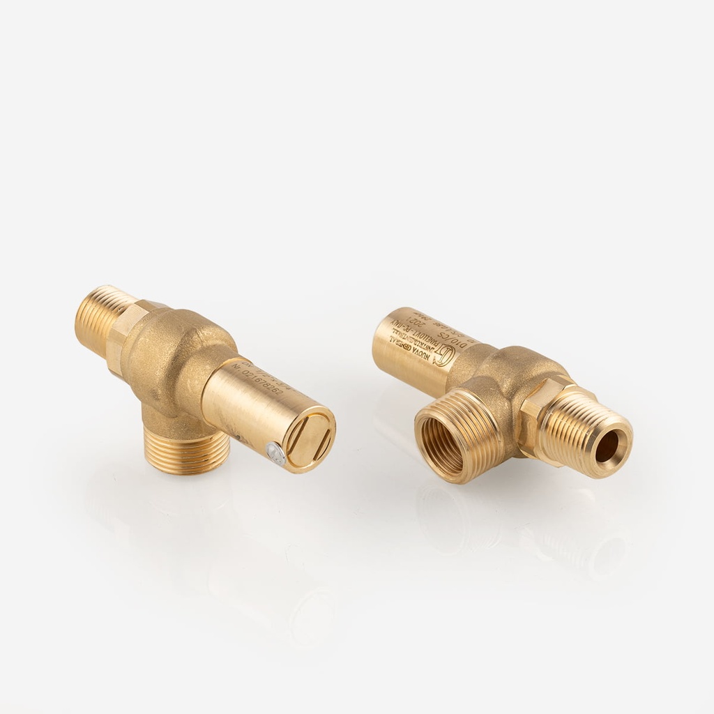 Safety valve D10/CS 1/2"NPT - 3/4"G 29bar