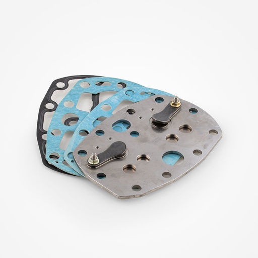 [A03641024] S2481006-A venttiililevysarja Frascold 